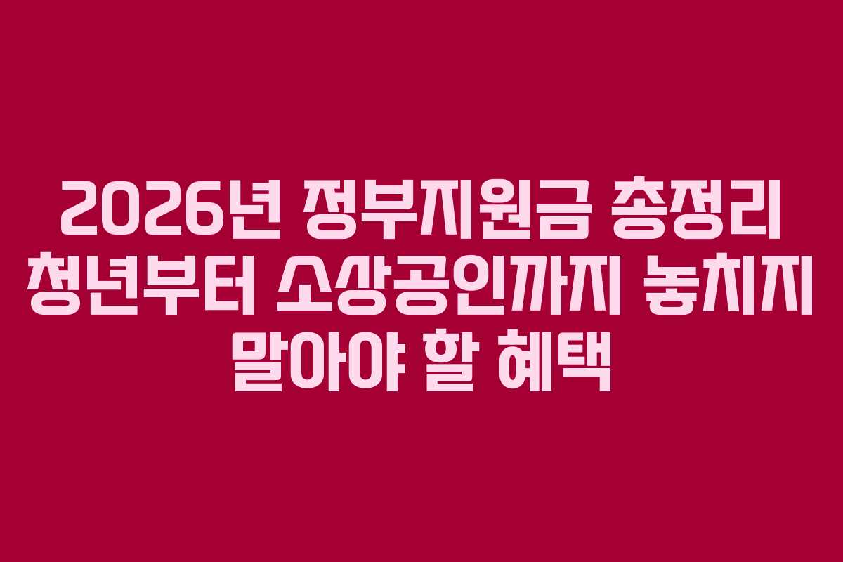 2026년 정부지원금 총정리 청년부터 소상공인까지 놓치지 말아야 할 혜택