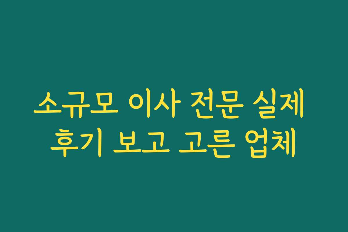 소규모 이사 전문 실제 후기 보고 고른 업체