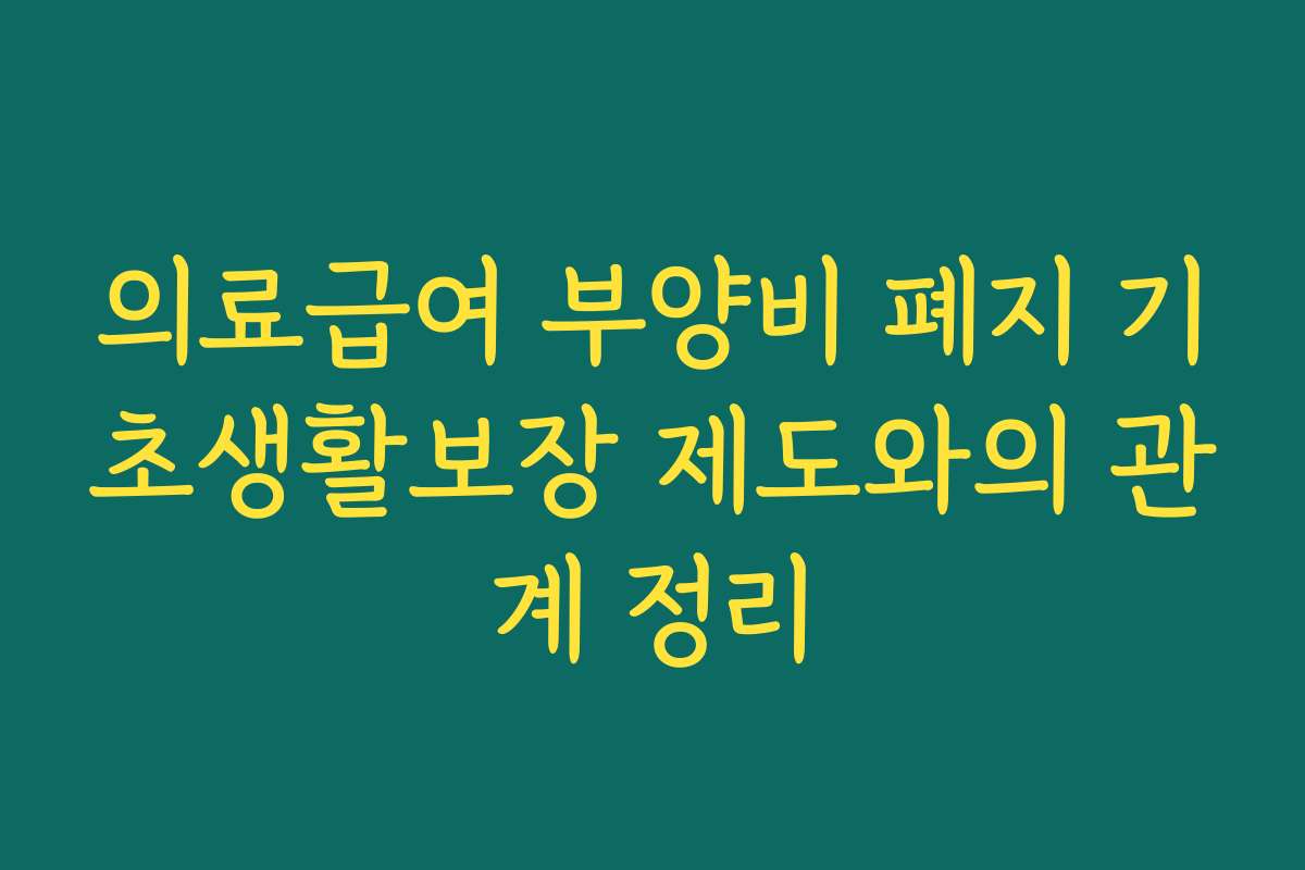 의료급여 부양비 폐지 기초생활보장 제도와의 관계 정리