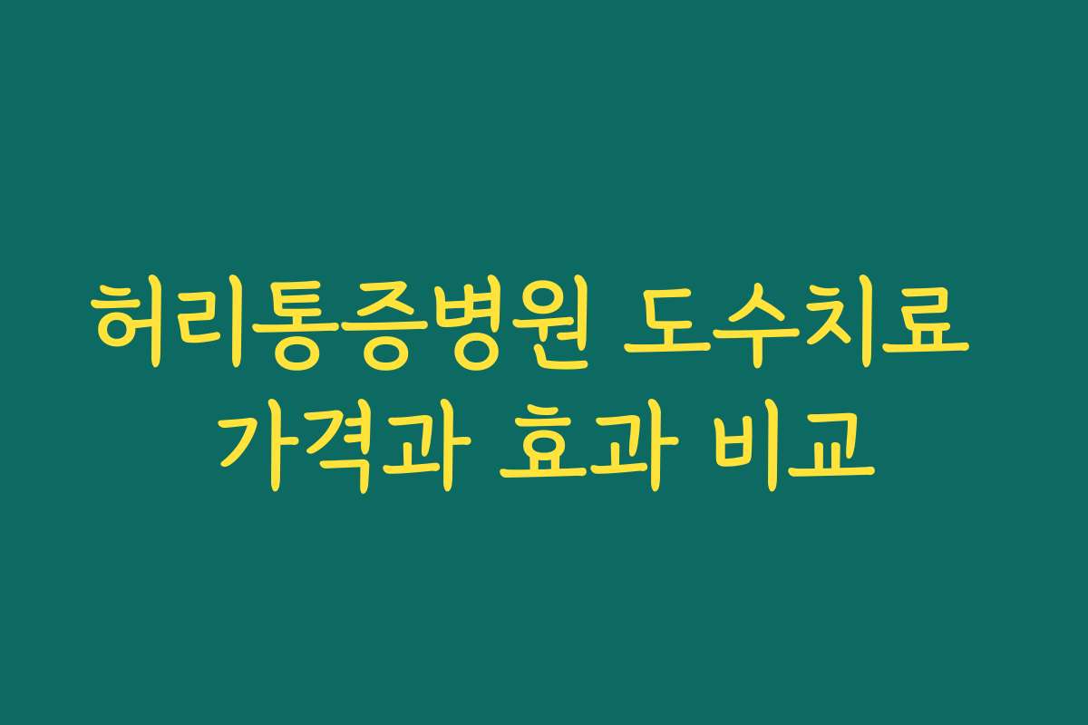 허리통증병원 도수치료 가격과 효과 비교