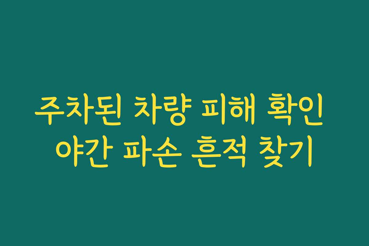 주차된 차량 피해 확인 야간 파손 흔적 찾기