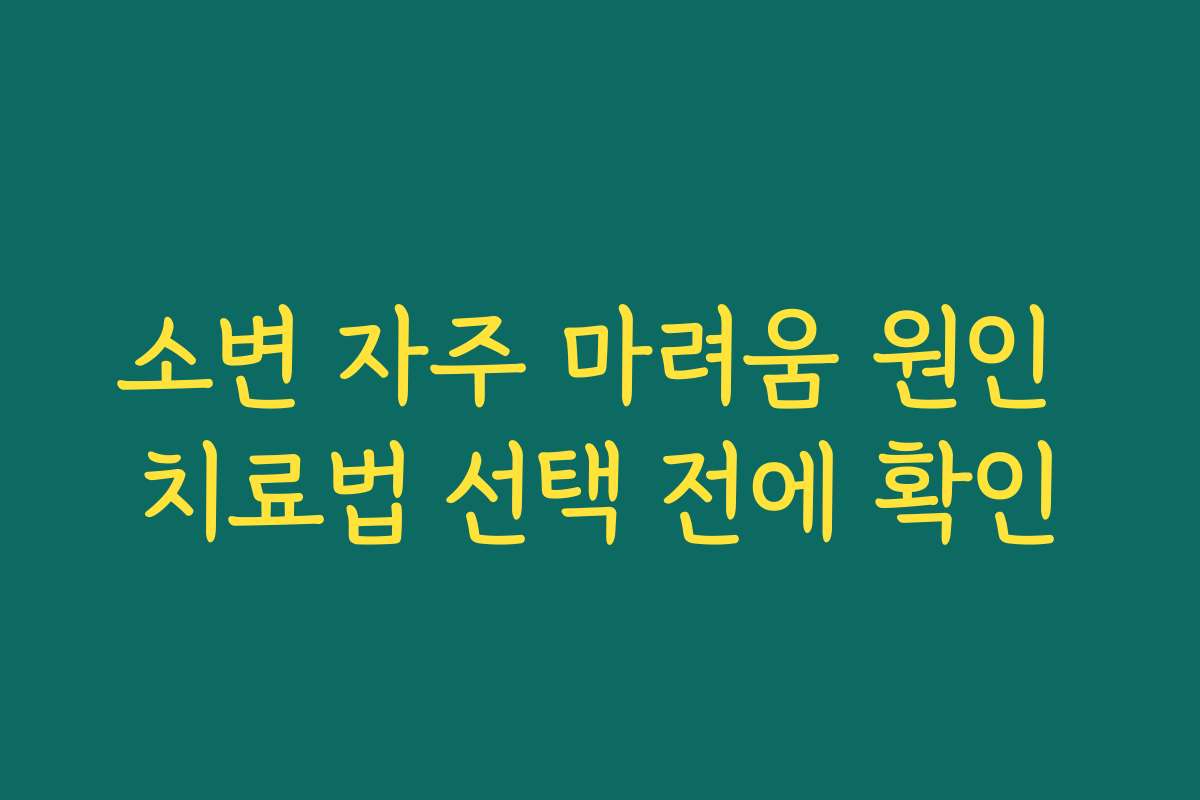 소변 자주 마려움 원인 치료법 선택 전에 확인