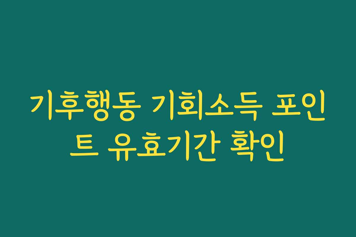 기후행동 기회소득 포인트 유효기간 확인