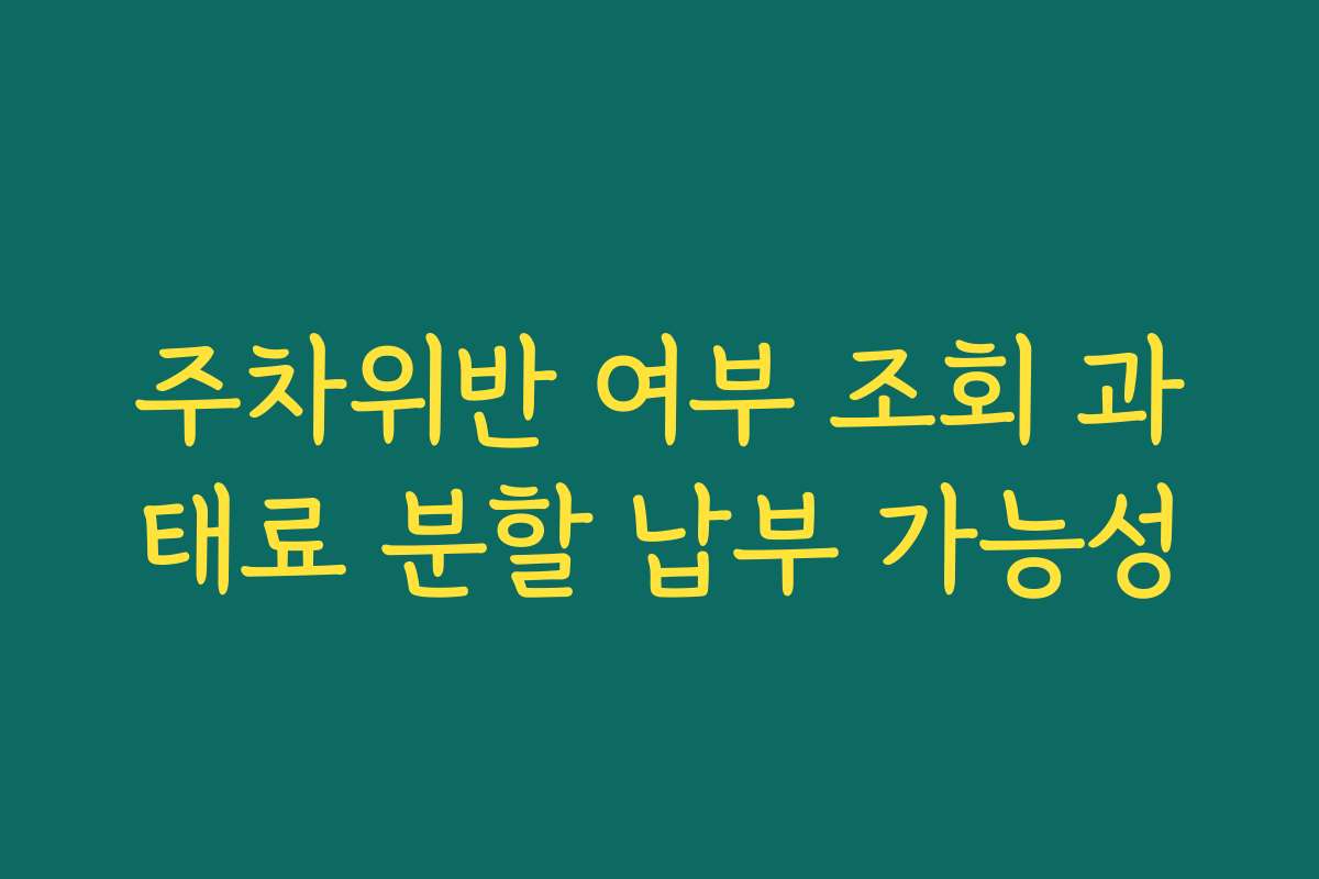 주차위반 여부 조회 과태료 분할 납부 가능성