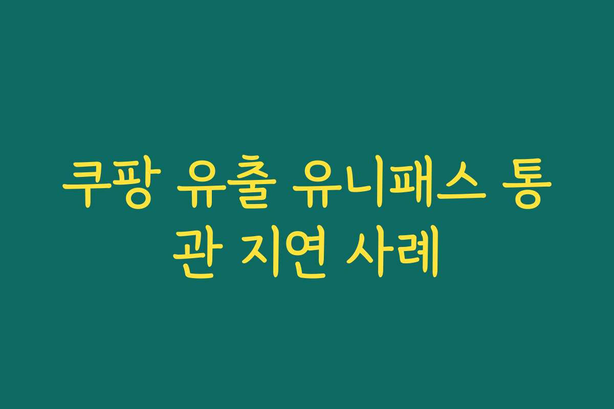쿠팡 유출 유니패스 통관 지연 사례
