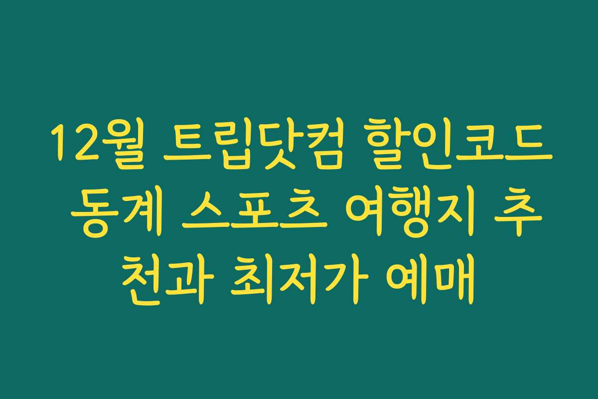 12월 트립닷컴 할인코드 동계 스포츠 여행지 추천과 최저가 예매