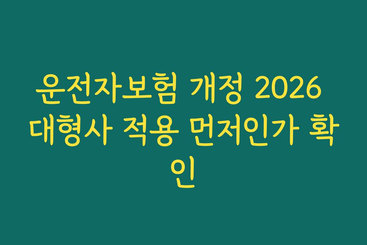 운전자보험 개정 2026 대형사 적용 먼저인가 확인