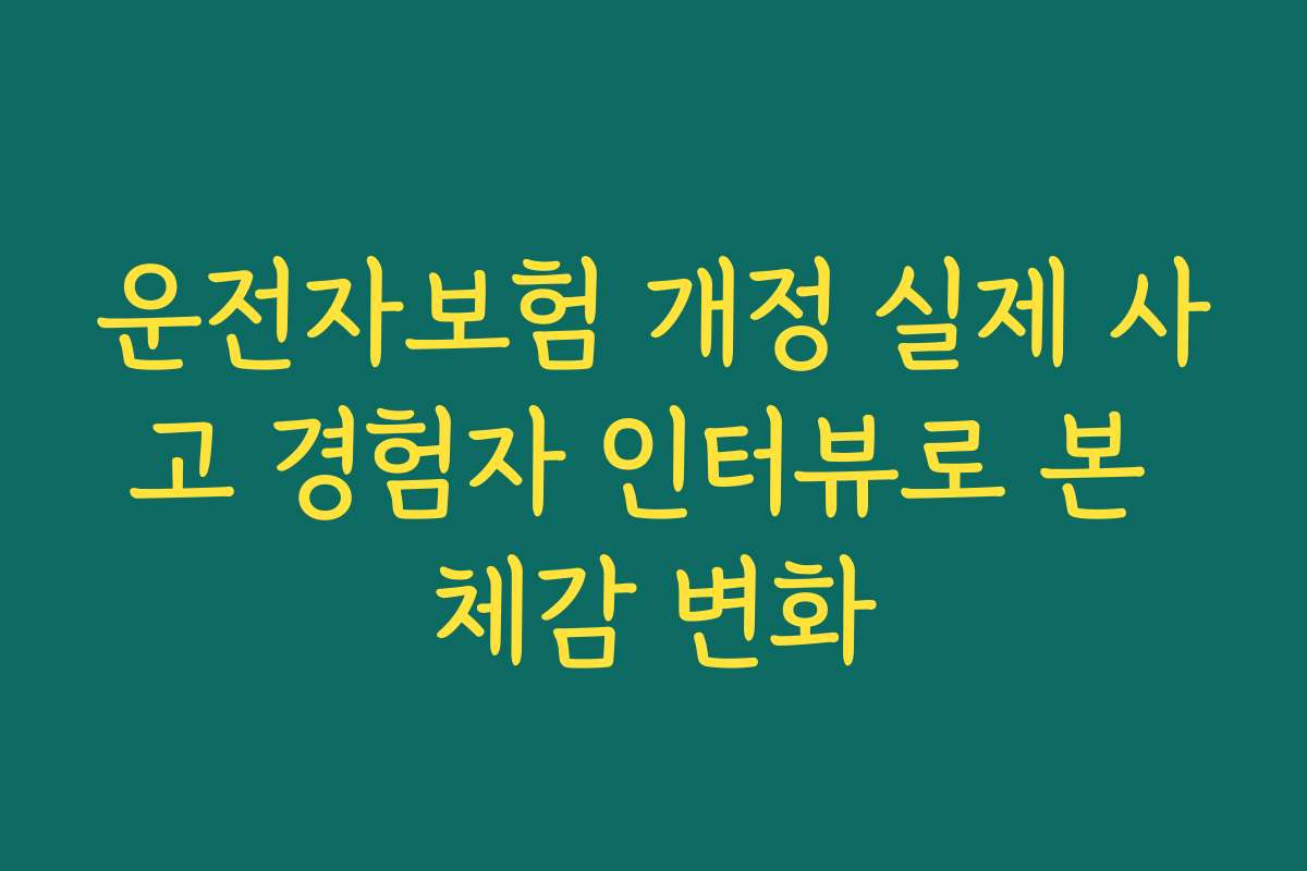 운전자보험 개정 실제 사고 경험자 인터뷰로 본 체감 변화