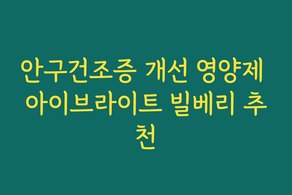 안구건조증 개선 영양제 아이브라이트 빌베리 추천
