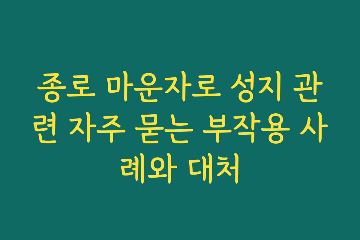 종로 마운자로 성지 관련 자주 묻는 부작용 사례와 대처