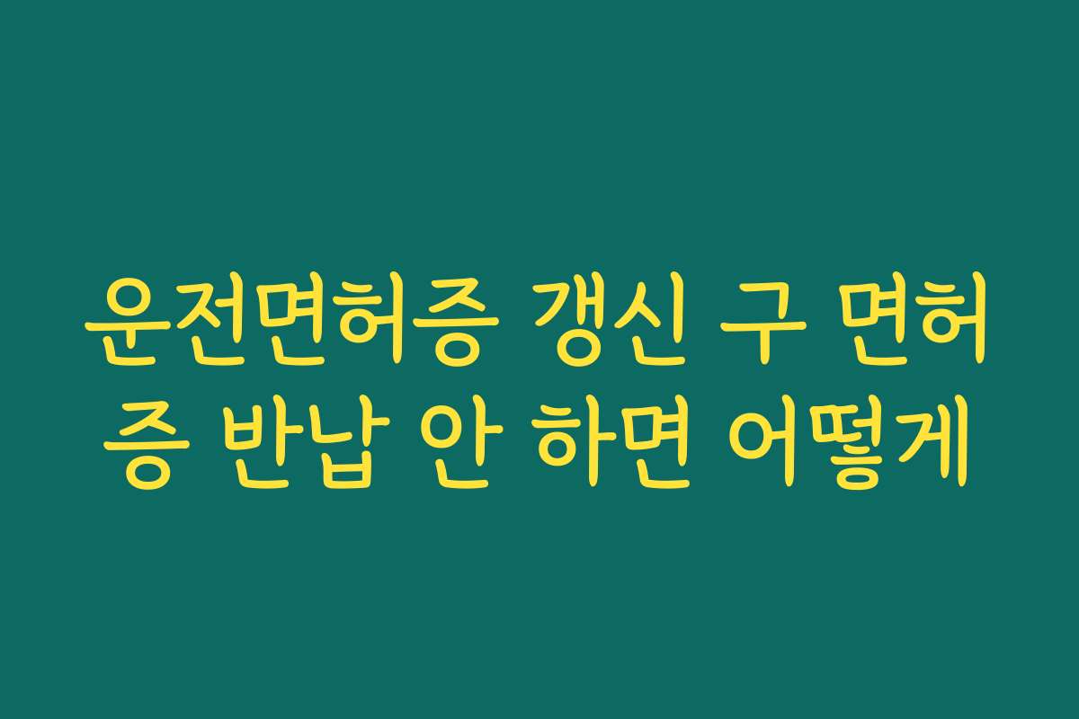 운전면허증 갱신 구 면허증 반납 안 하면 어떻게