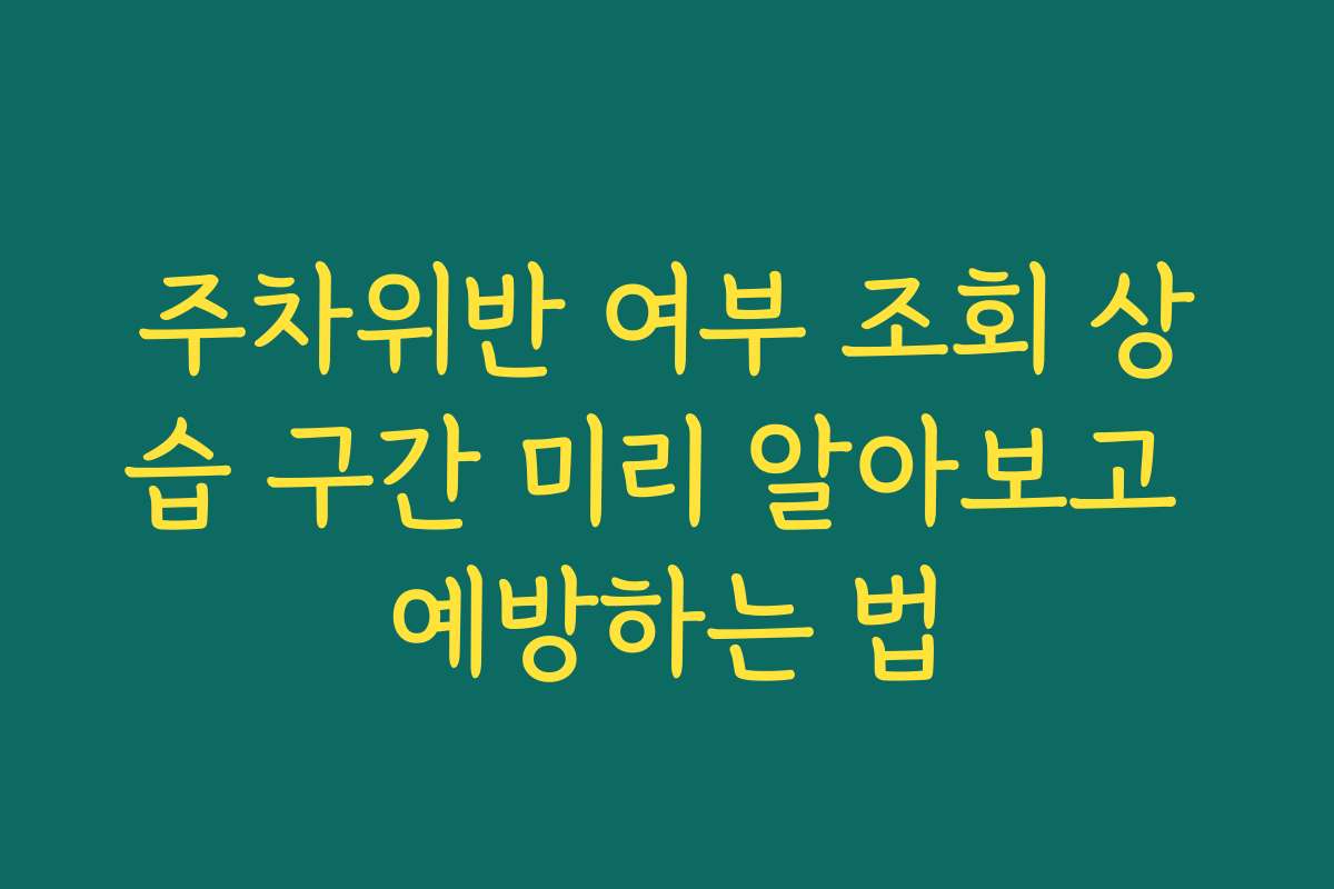 주차위반 여부 조회 상습 구간 미리 알아보고 예방하는 법