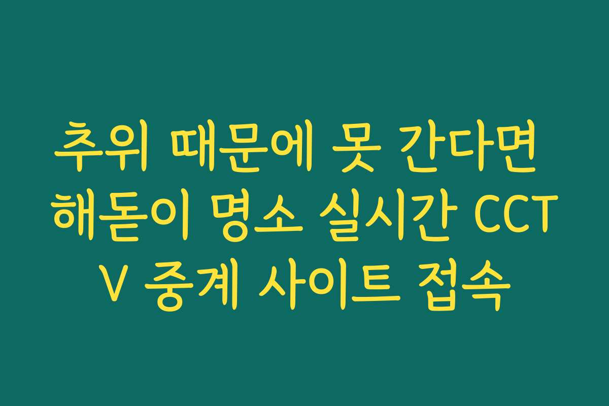 추위 때문에 못 간다면 해돋이 명소 실시간 CCTV 중계 사이트 접속