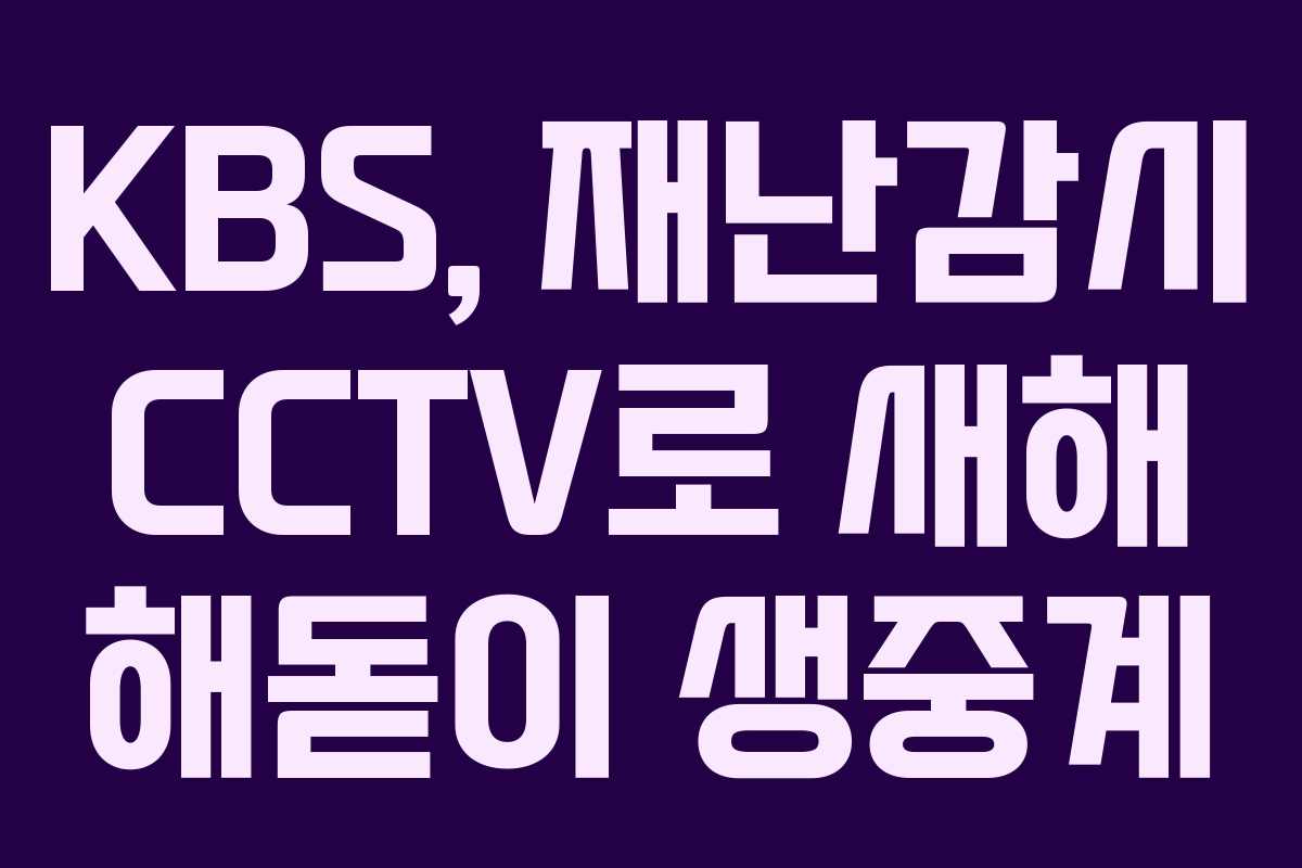 KBS, 재난감시 CCTV로 새해 해돋이 생중계