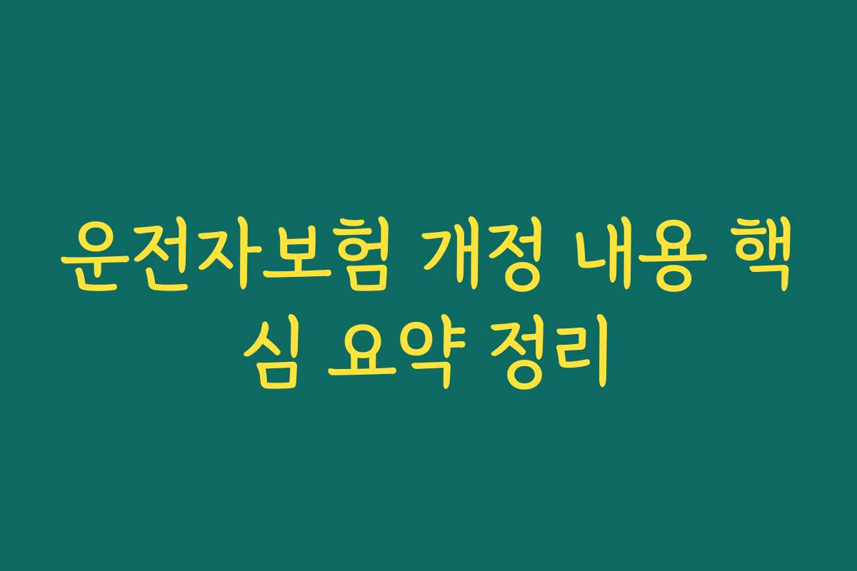 운전자보험 개정 내용 핵심 요약 정리