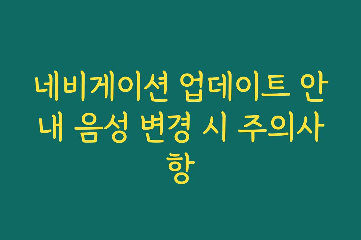 네비게이션 업데이트 안내 음성 변경 시 주의사항