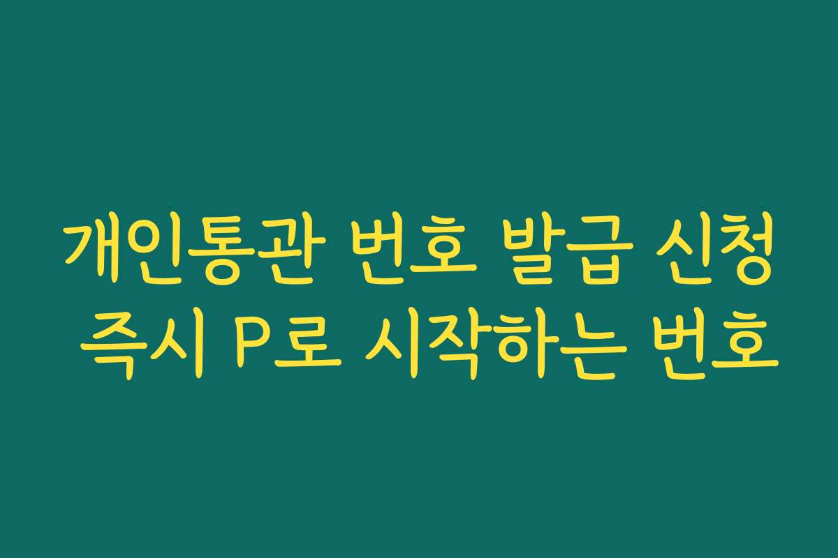 개인통관 번호 발급 신청 즉시 P로 시작하는 번호