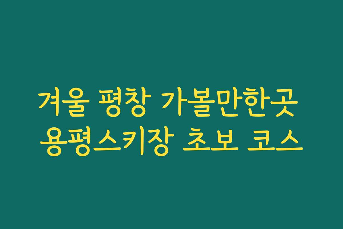 겨울 평창 가볼만한곳 용평스키장 초보 코스