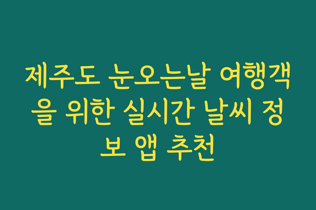 제주도 눈오는날 여행객을 위한 실시간 날씨 정보 앱 추천