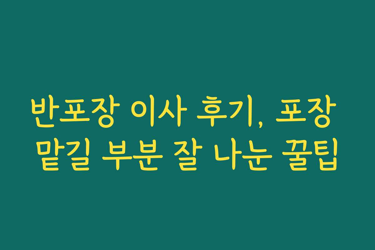 반포장 이사 후기, 포장 맡길 부분 잘 나눈 꿀팁