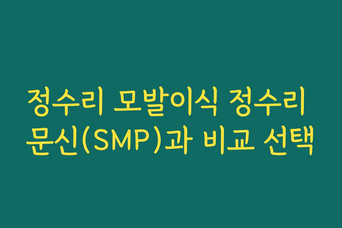 정수리 모발이식 정수리 문신(SMP)과 비교 선택