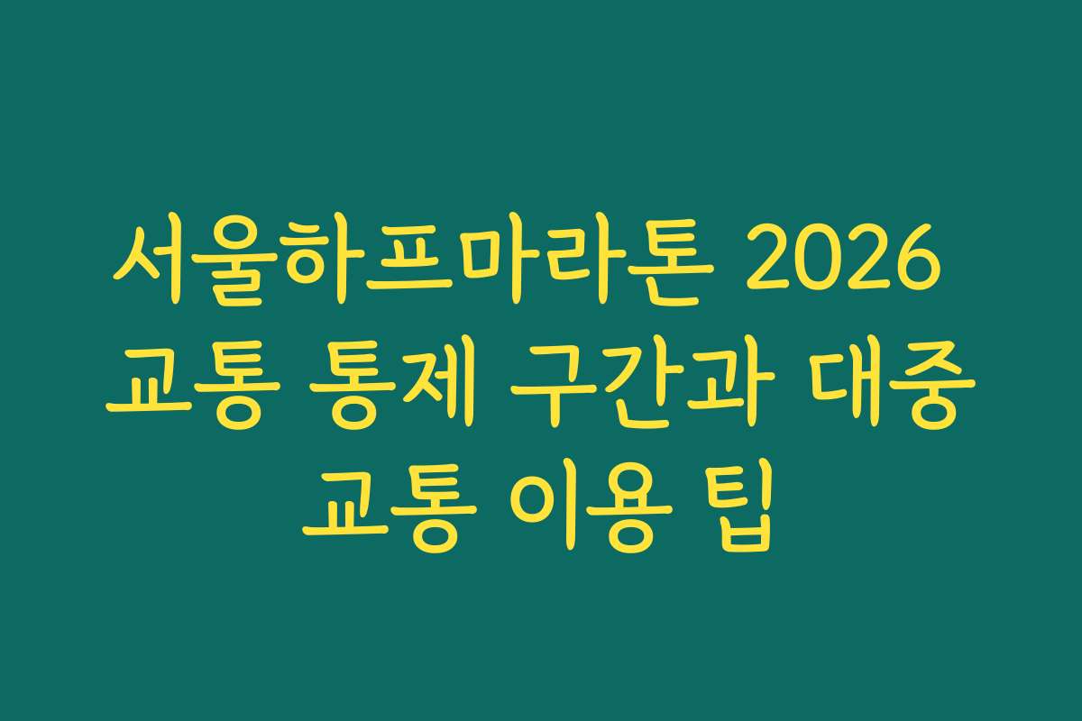 서울하프마라톤 2026 교통 통제 구간과 대중교통 이용 팁