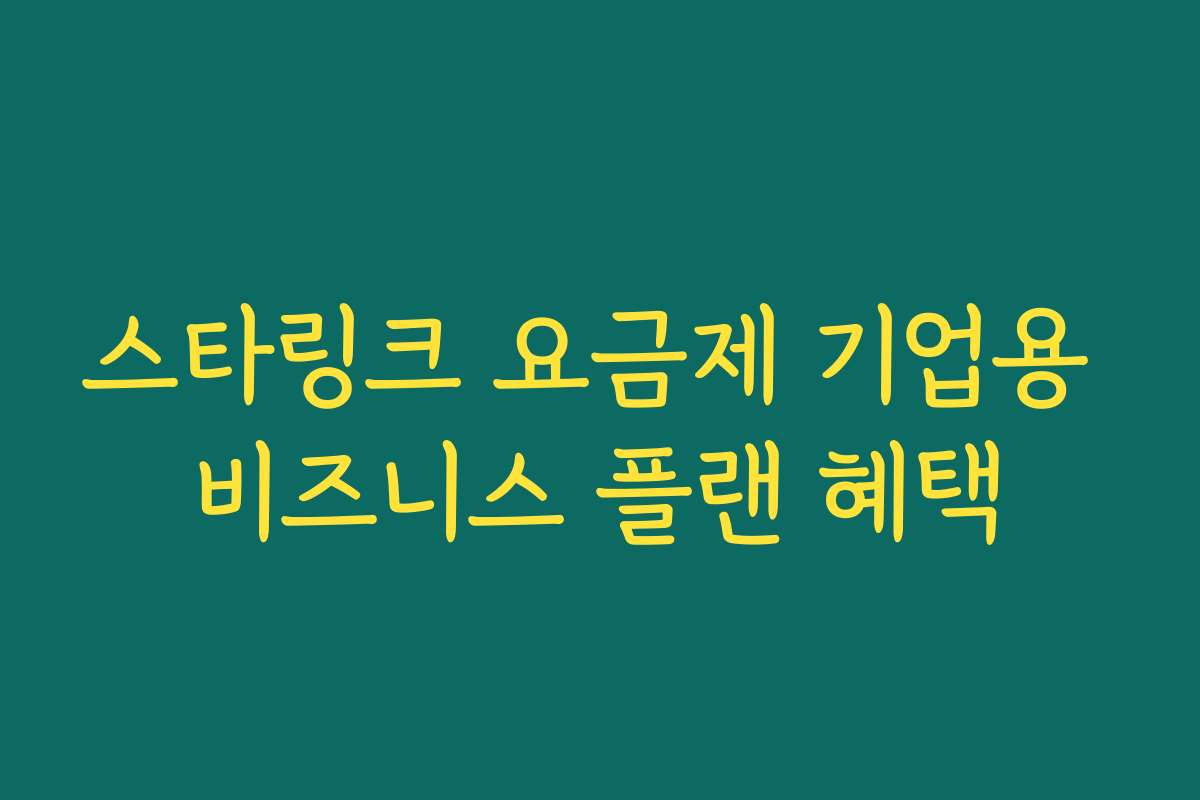 스타링크 요금제 기업용 비즈니스 플랜 혜택