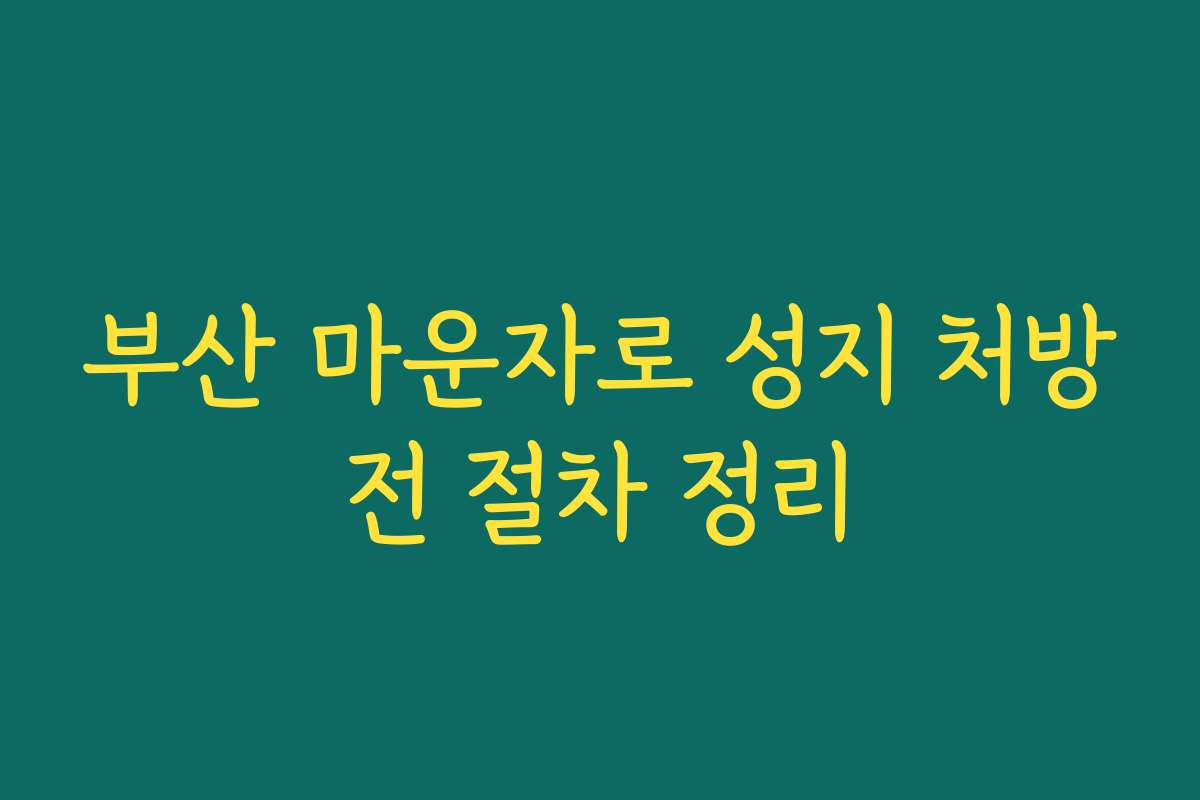 부산 마운자로 성지 처방전 절차 정리