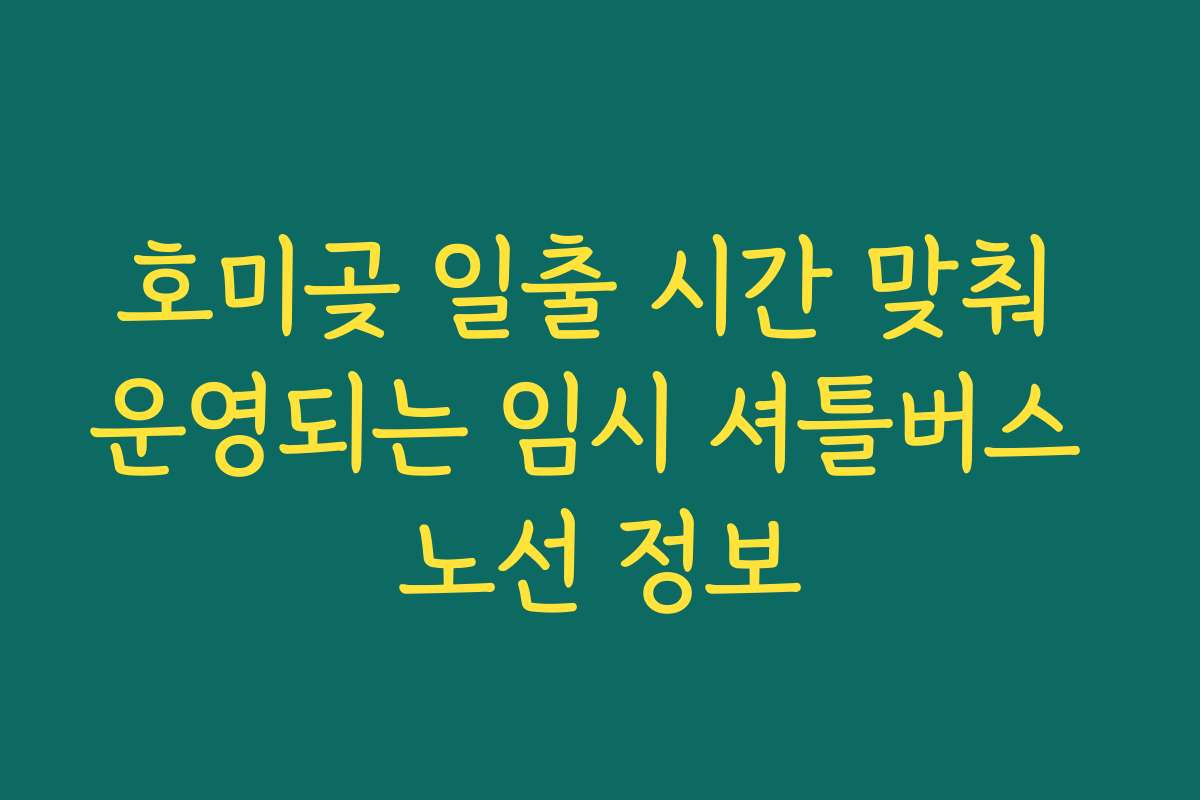 호미곶 일출 시간 맞춰 운영되는 임시 셔틀버스 노선 정보