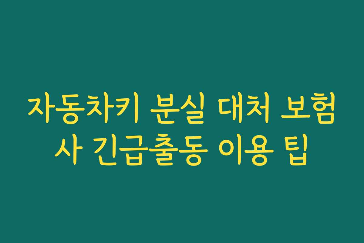 자동차키 분실 대처 보험사 긴급출동 이용 팁