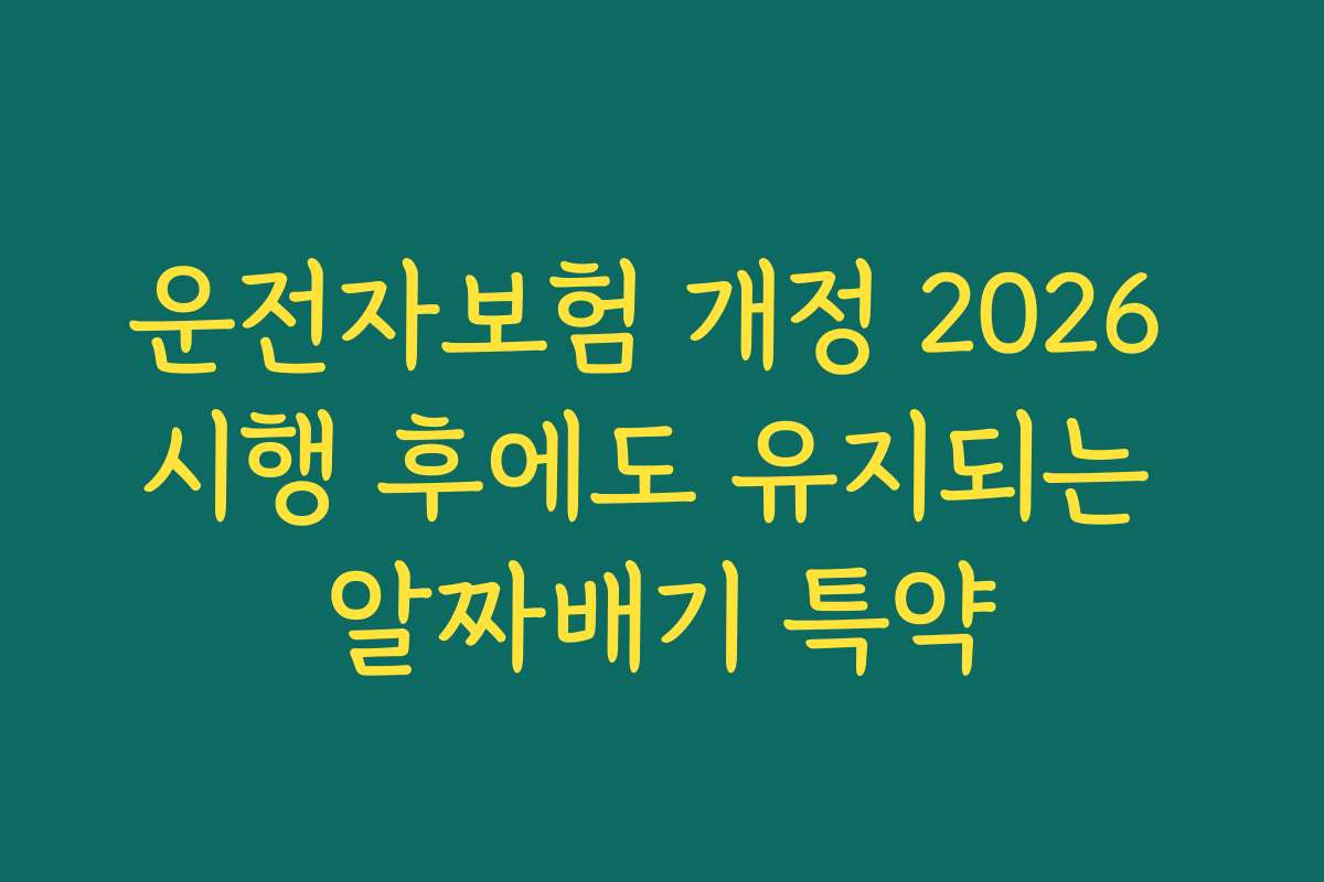 운전자보험 개정 2026 시행 후에도 유지되는 알짜배기 특약