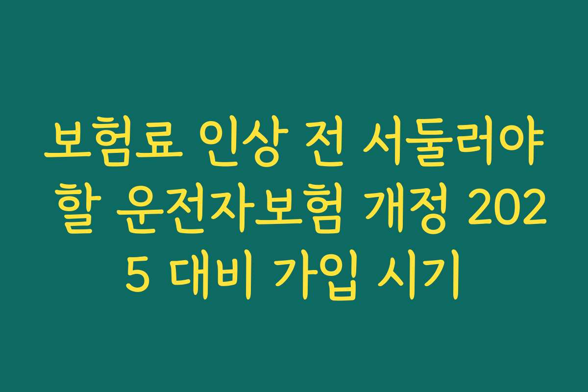보험료 인상 전 서둘러야 할 운전자보험 개정 2025 대비 가입 시기