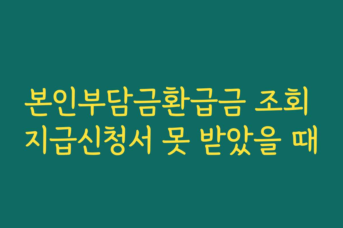 본인부담금환급금 조회 지급신청서 못 받았을 때