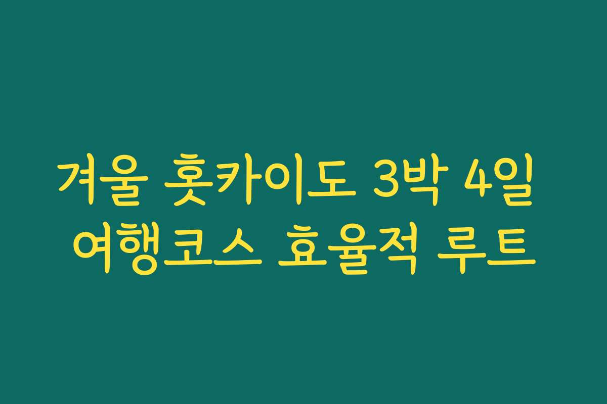 겨울 홋카이도 3박 4일 여행코스 효율적 루트