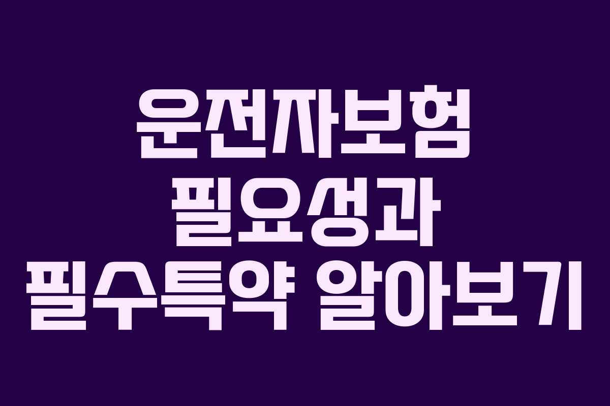 운전자보험 필요성과 필수특약 알아보기