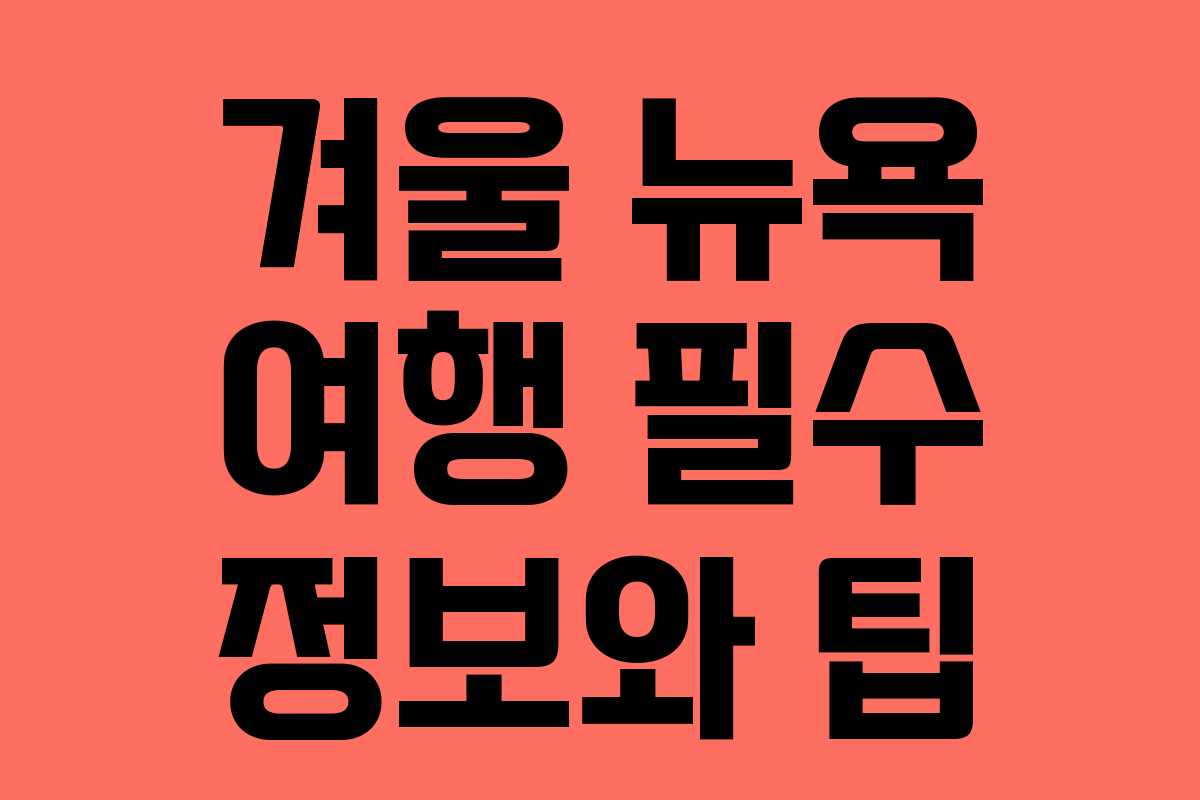 겨울 뉴욕 여행 필수 정보와 팁