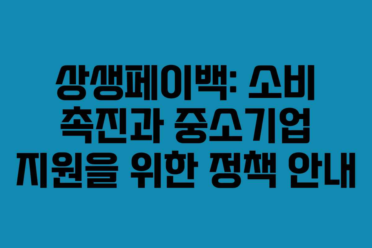 상생페이백: 소비 촉진과 중소기업 지원을 위한 정책 안내
