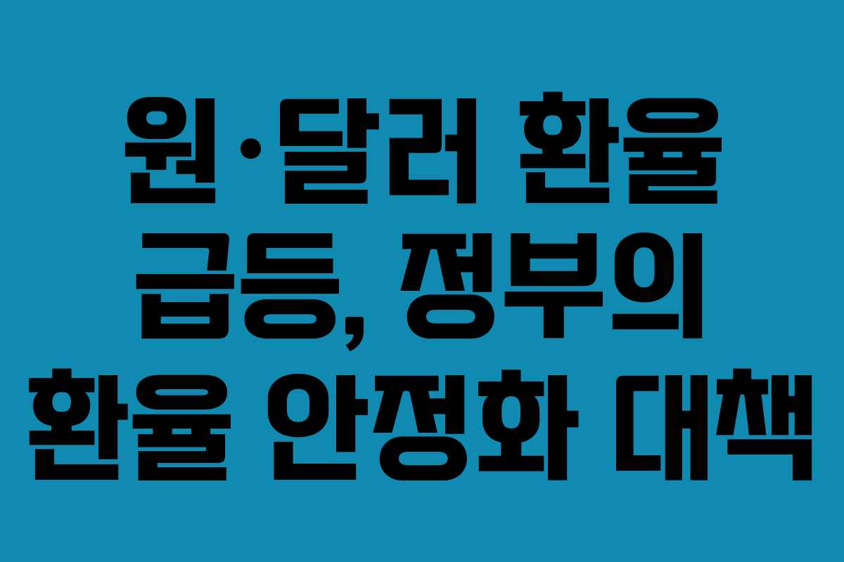 원·달러 환율 급등, 정부의 환율 안정화 대책