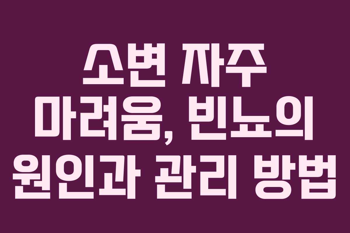 소변 자주 마려움, 빈뇨의 원인과 관리 방법