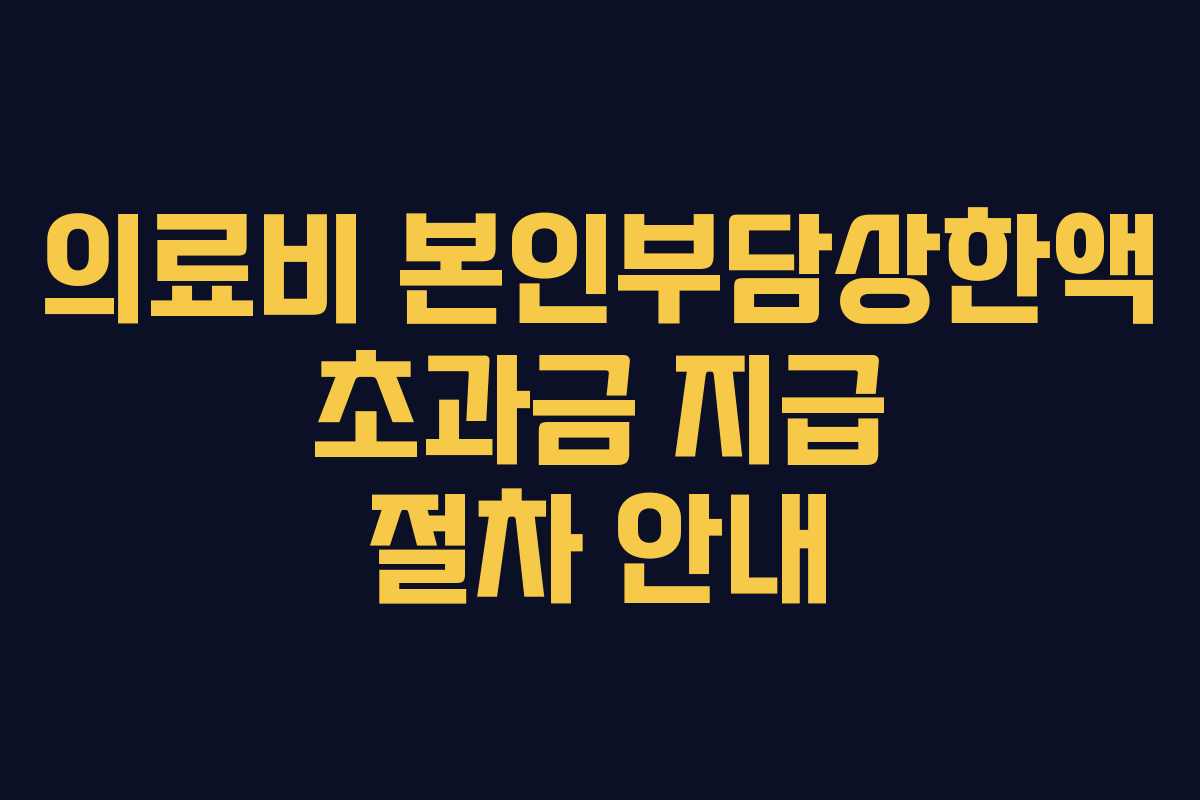 의료비 본인부담상한액 초과금 지급 절차 안내