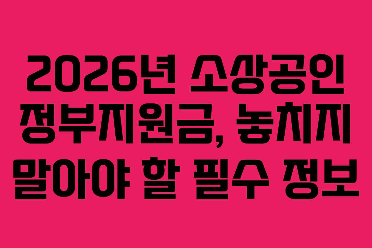2026년 소상공인 정부지원금, 놓치지 말아야 할 필수 정보