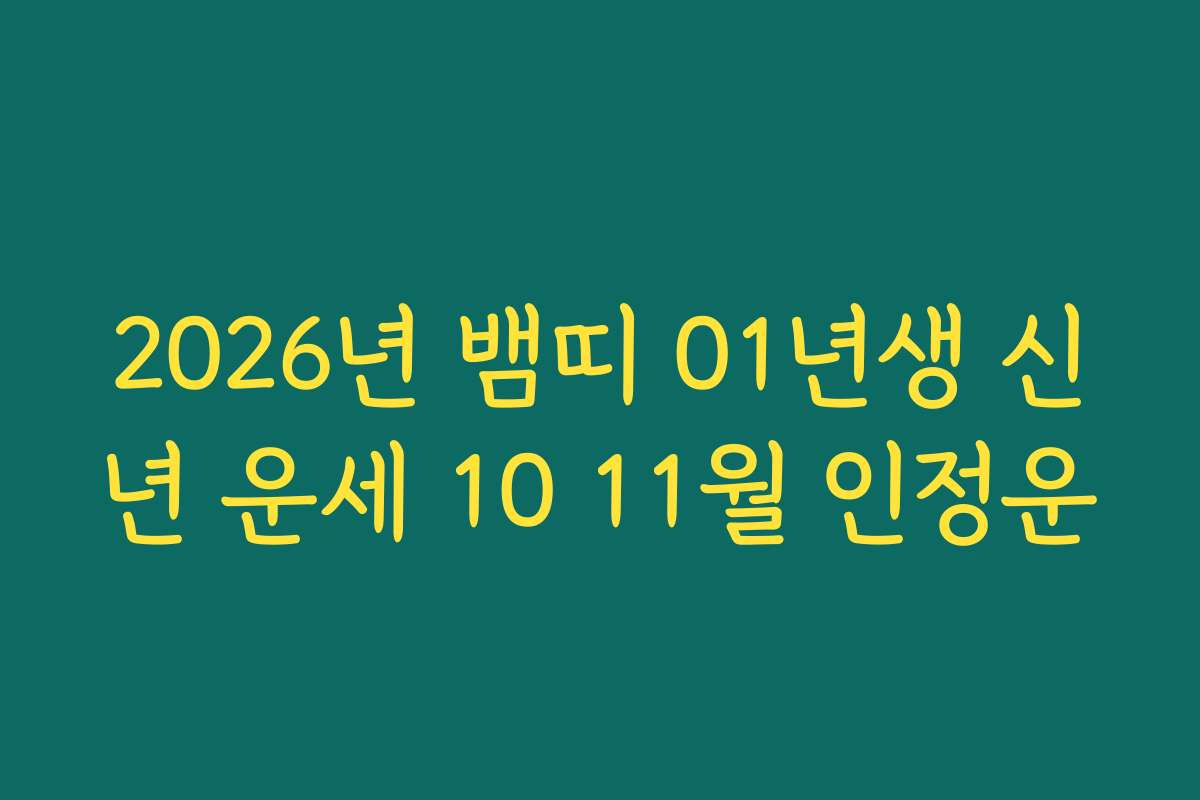 2026년 뱀띠 01년생 신년 운세 10 11월 인정운