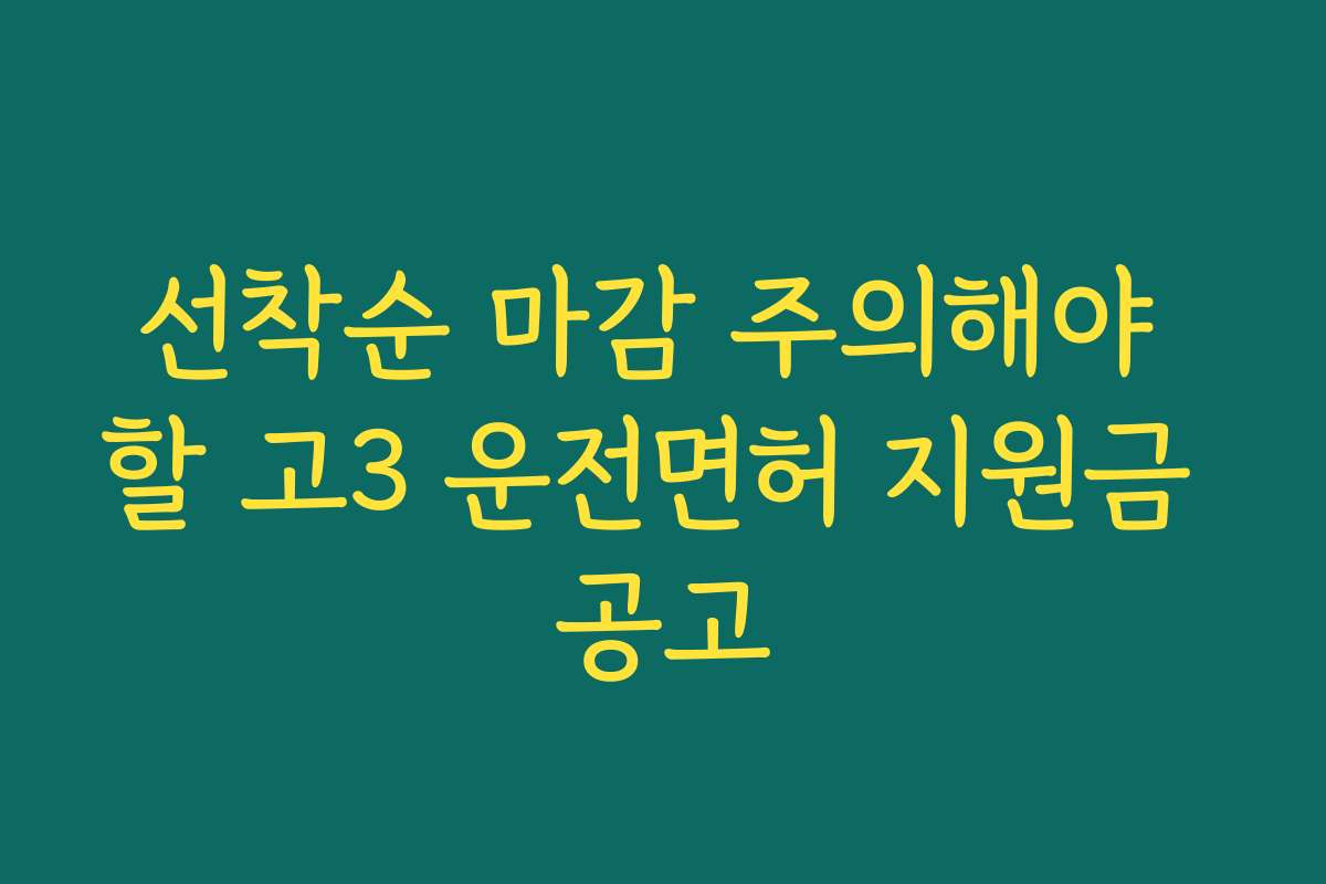 선착순 마감 주의해야 할 고3 운전면허 지원금 공고