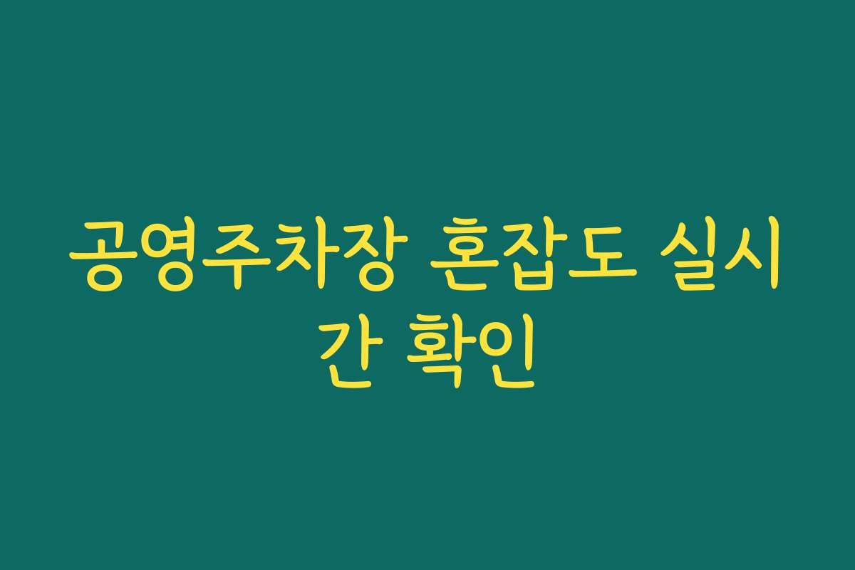 공영주차장 혼잡도 실시간 확인