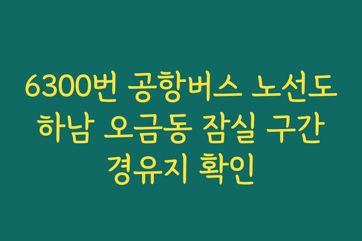 6300번 공항버스 노선도 하남 오금동 잠실 구간 경유지 확인