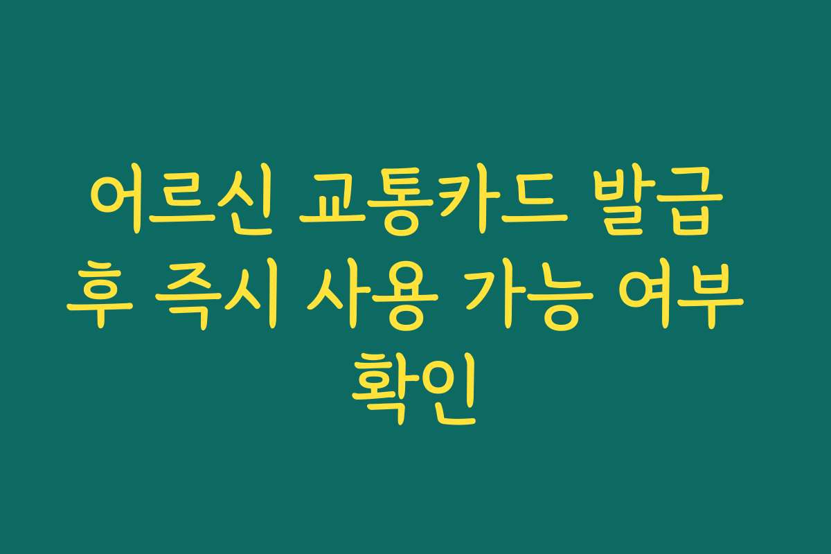 어르신 교통카드 발급 후 즉시 사용 가능 여부 확인
