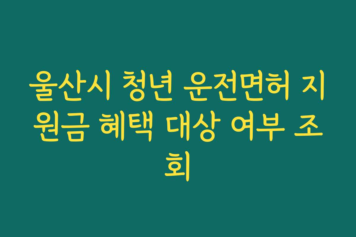 울산시 청년 운전면허 지원금 혜택 대상 여부 조회