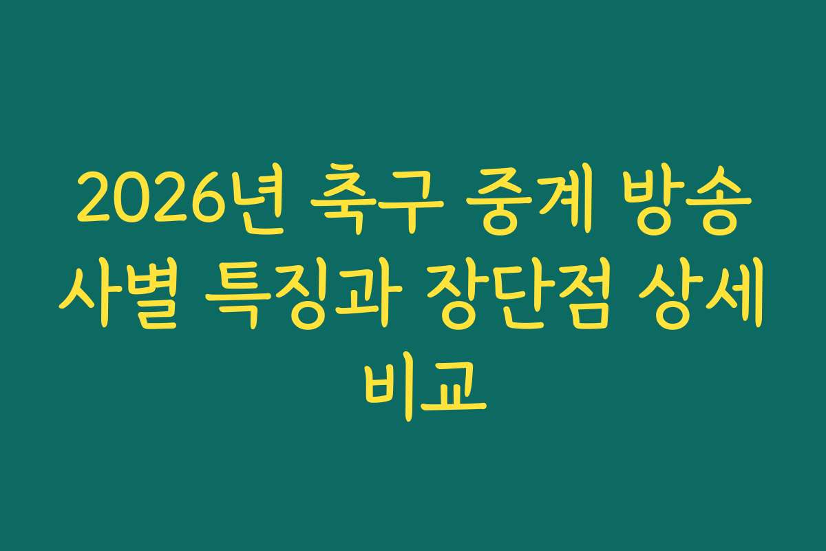 2026년 축구 중계 방송사별 특징과 장단점 상세 비교