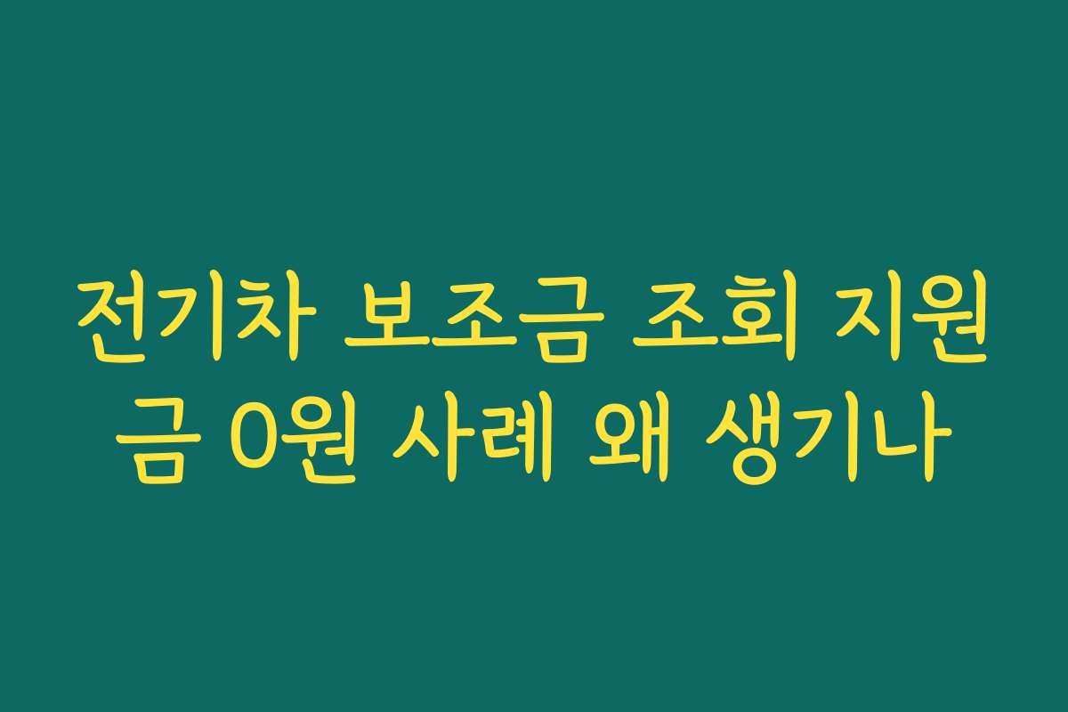 전기차 보조금 조회 지원금 0원 사례 왜 생기나