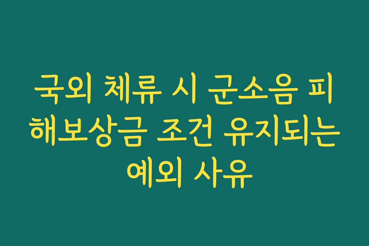 국외 체류 시 군소음 피해보상금 조건 유지되는 예외 사유
